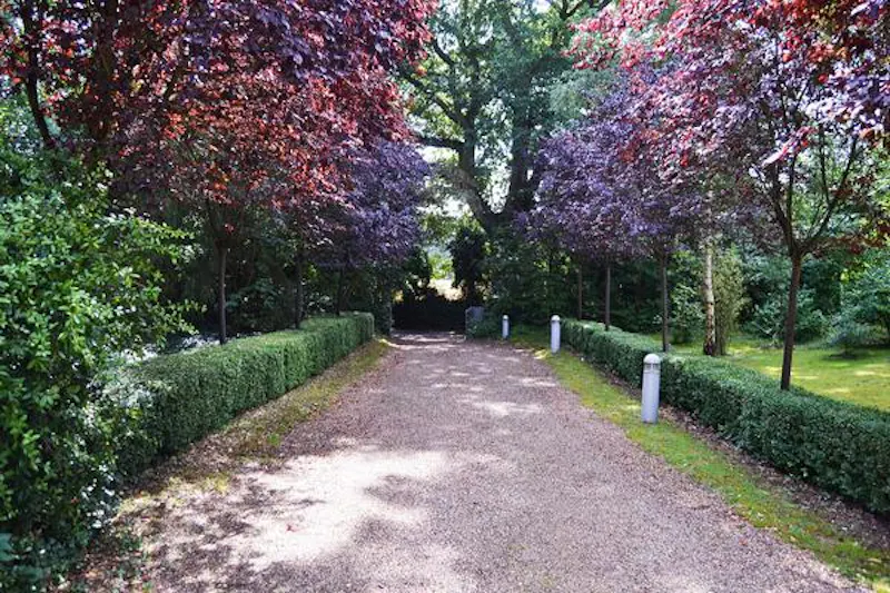 Hatfield Modernist house, D1382 (photo 35)