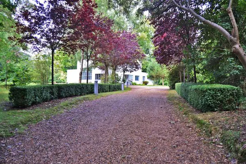 Driveway at Hatfield Modernist house, D1382 (photo 36)
