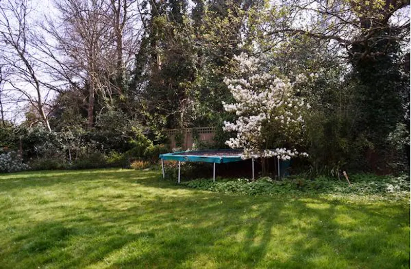 Garden at Modernist Sydenham Hill house, D2132 (photo 55)