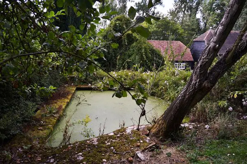 Pond at 200 acre Radlett farm, L236 (photo 49)