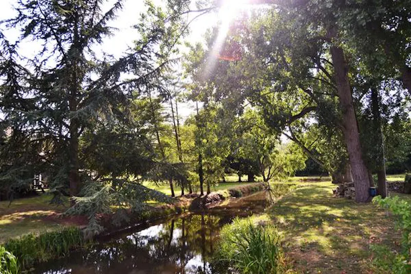 Countryside at 200 acre Radlett farm, L236 (photo 76)