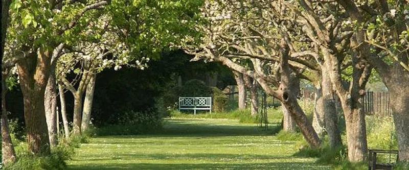 Elizabethan Ipswich stately , M39 (photo 14)