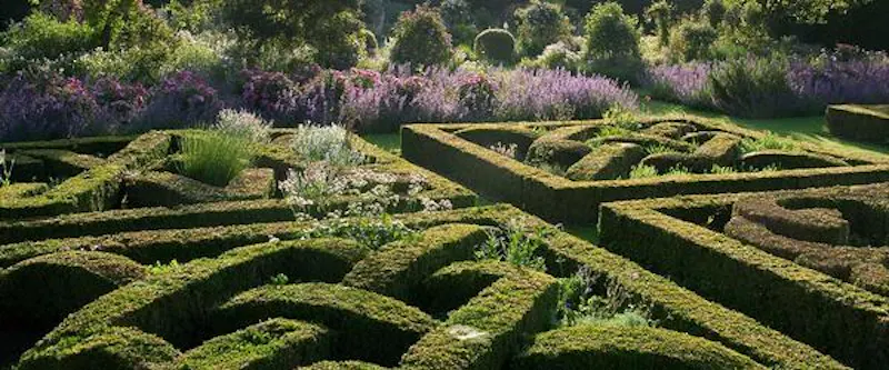 Garden - formal at Elizabethan Ipswich stately , M39 (photo 17)