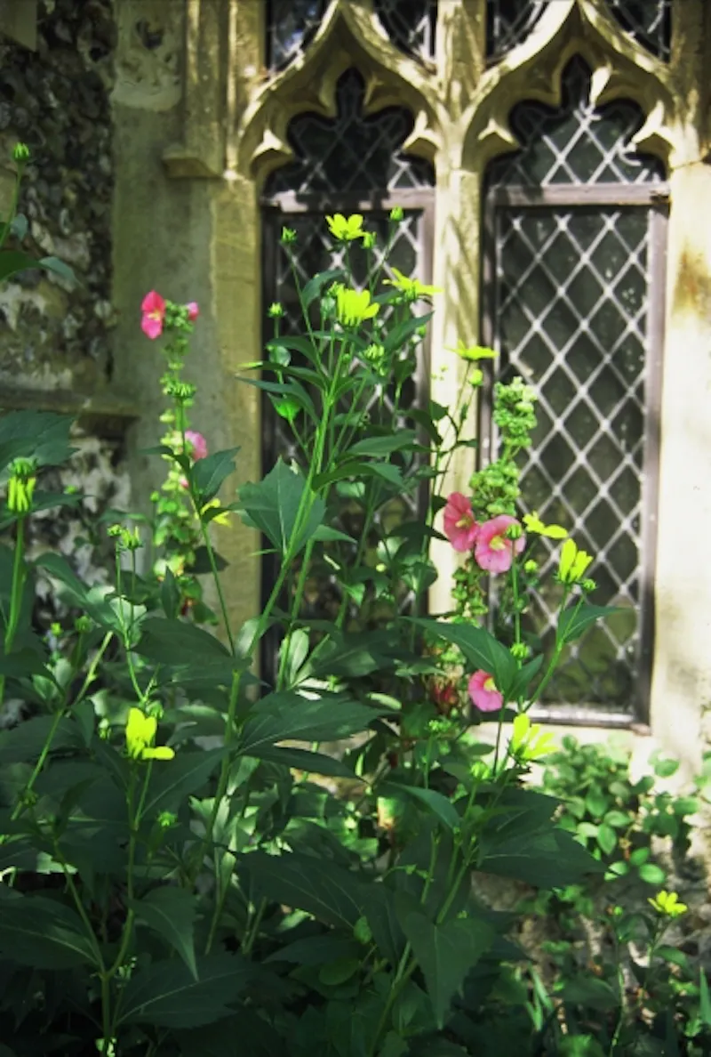 Film location CH85 in Suffolk (photo 14)