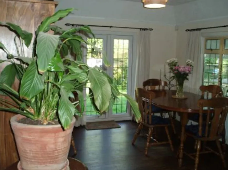 Bungalow in Lenham, E314 (photo 5)