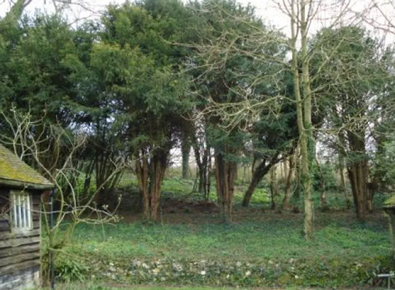 Garden at Bungalow in Lenham, E314 (photo 21)
