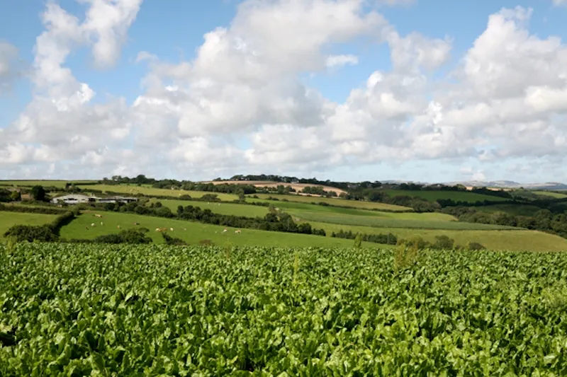 Views - country at Portholland castle & country house, G271 (photo 8)