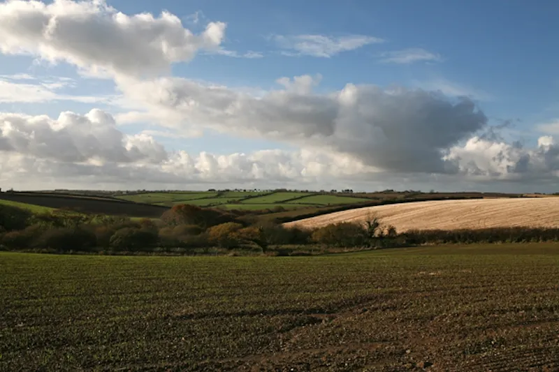 Portholland castle & country house, G271 (photo 10)