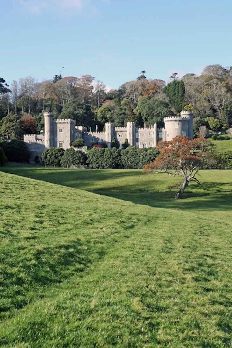 Portholland castle & country house, G271 (photo 11)