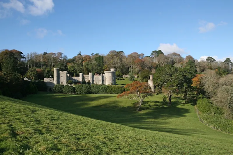 Portholland castle & country house, G271 (photo 12)
