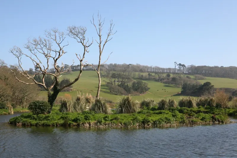 Portholland castle & country house, G271 (photo 15)