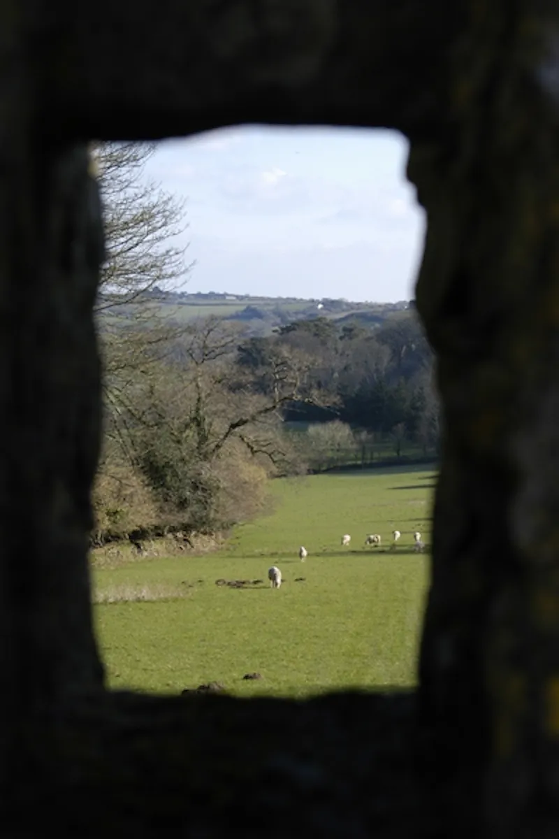Portholland castle & country house, G271 (photo 17)
