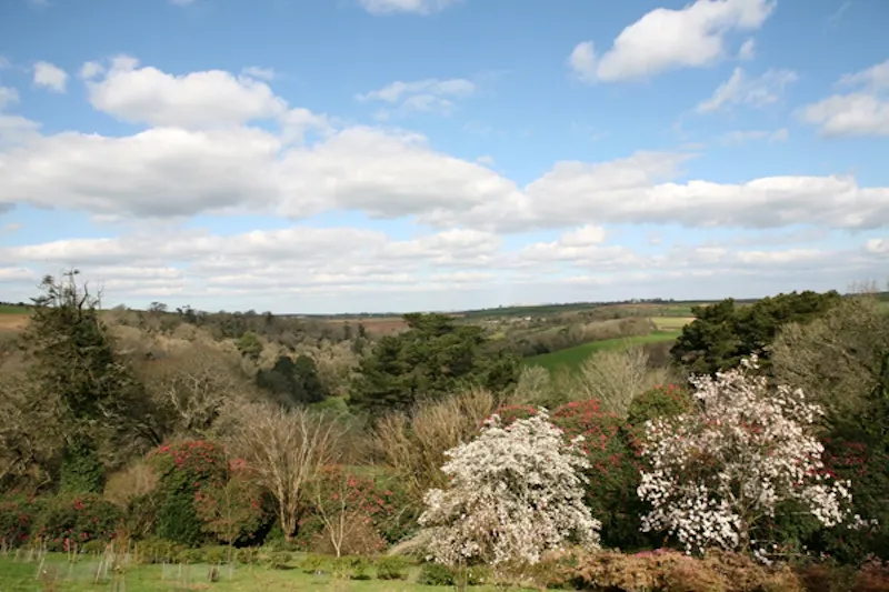 Portholland castle & country house, G271 (photo 20)