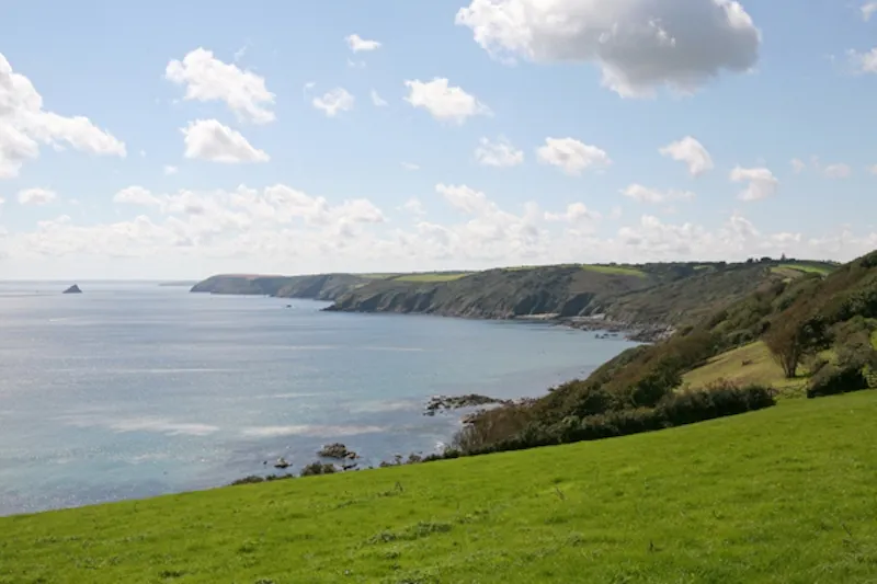 Portholland castle & country house, G271 (photo 21)