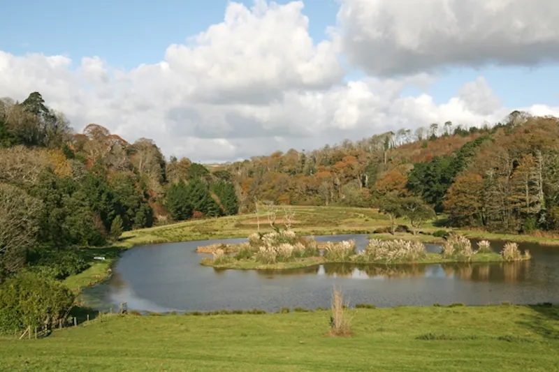 Portholland castle & country house, G271 (photo 24)