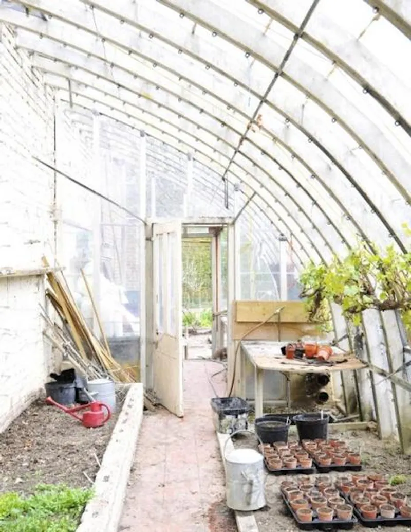 Greenhouse at Georgian manor in Cooksbridge, A1343 (photo 19)