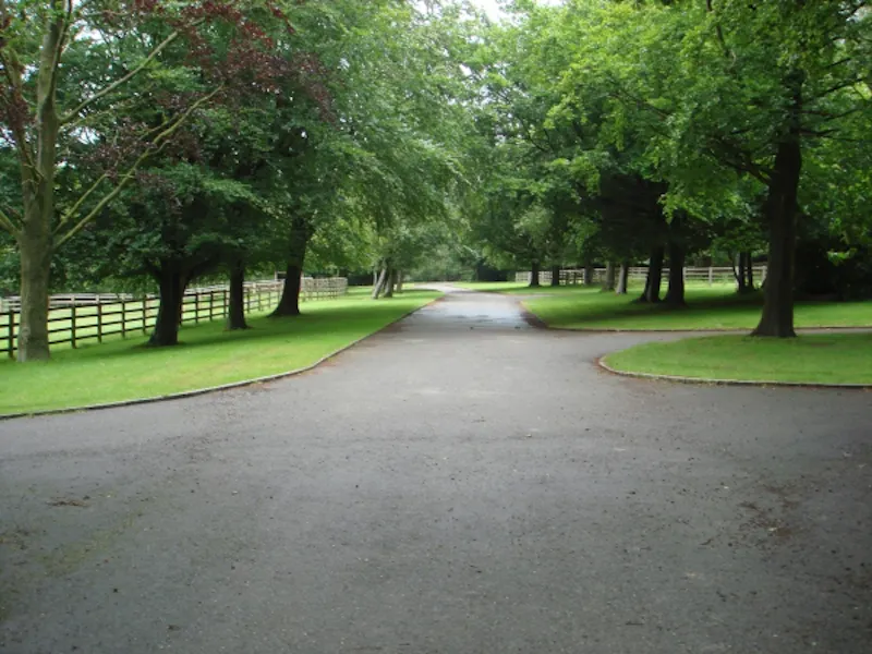 Driveway at Extensive Heathfield estate, A1198 (photo 40)