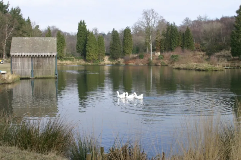 Lake at Extensive Heathfield estate, A1198 (photo 36)
