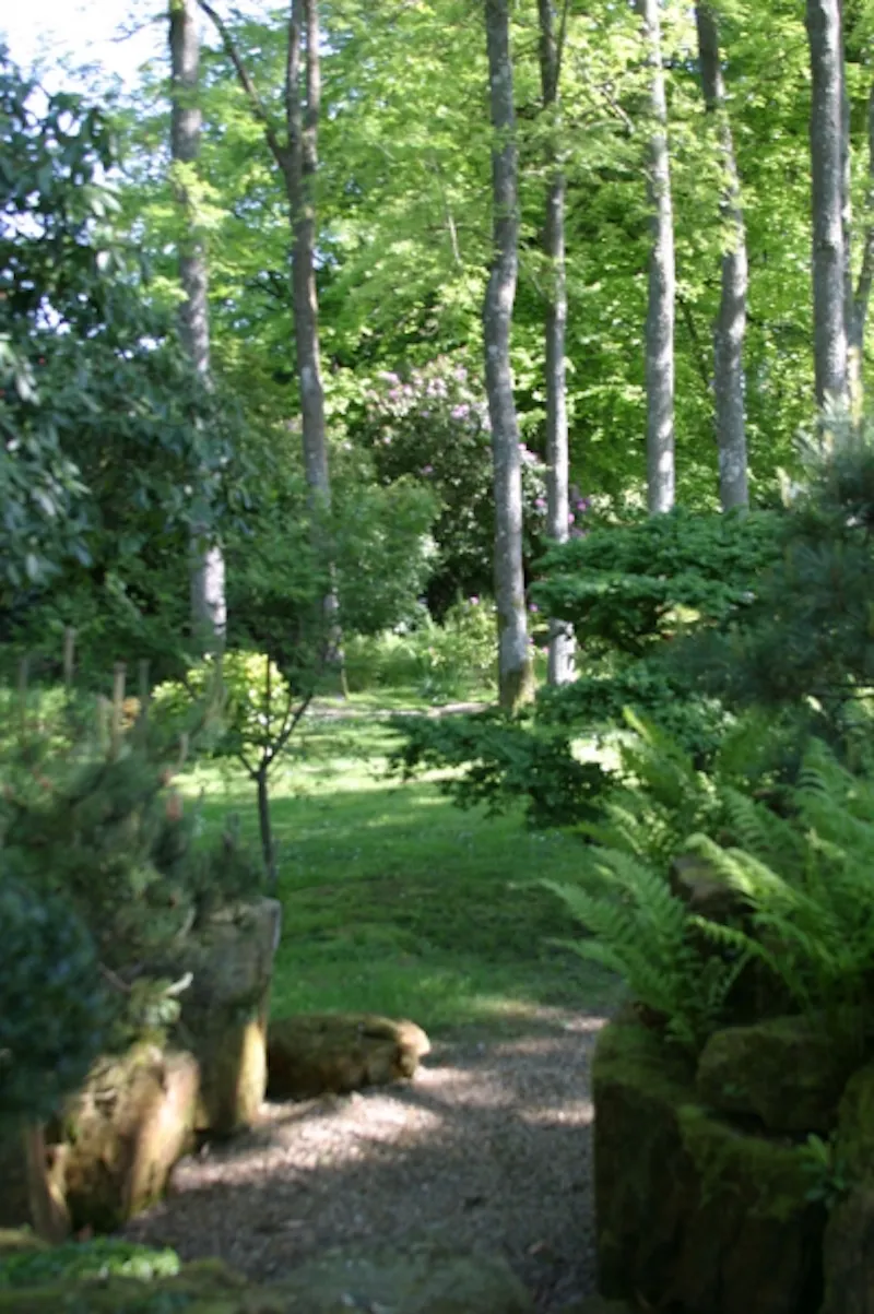 Extensive Heathfield estate, A1198 (photo 38)