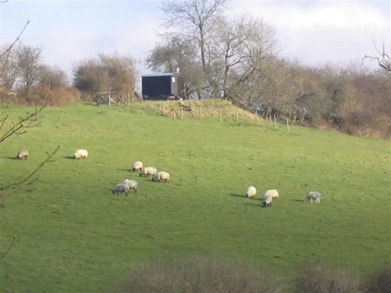 Countryside at Film location H111 in Wiltshire (photo 29)