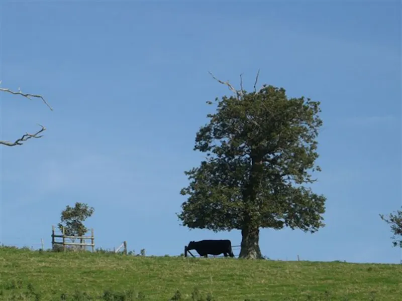 Film location H111 in Wiltshire (photo 30)