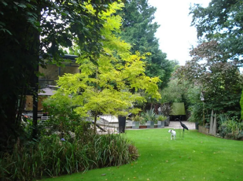 Dark, exotic Claygate house, K316 (photo 46)