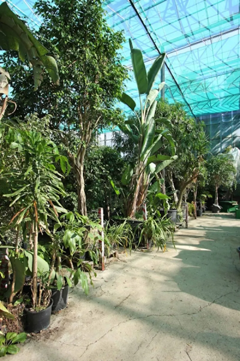 Conservatory at Cranleigh working farm, L612 (photo 31)