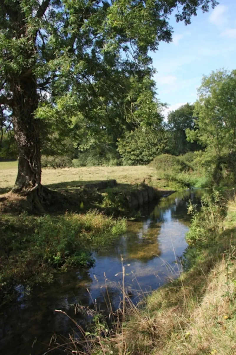 Cranleigh working farm, L612 (photo 34)