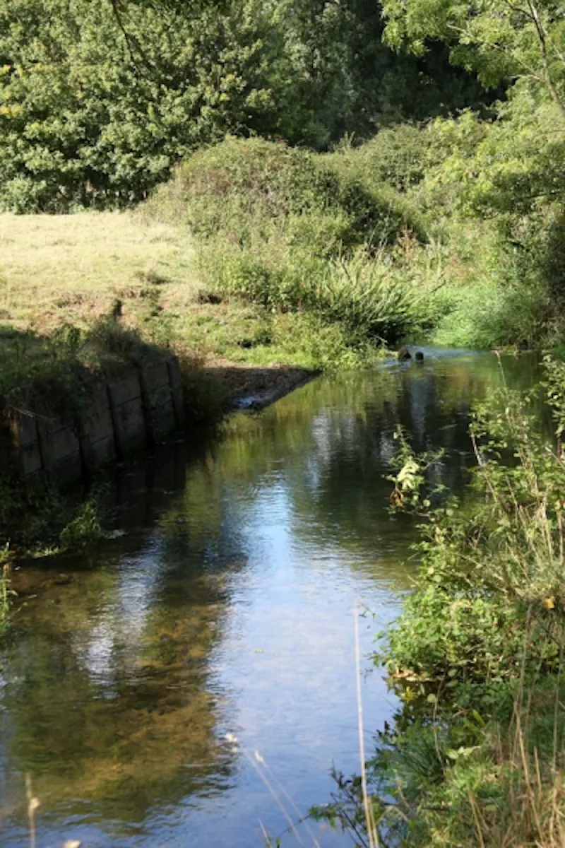 Cranleigh working farm, L612 (photo 35)