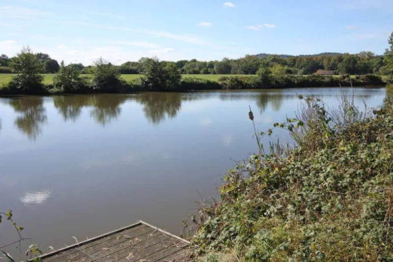 Lake at Cranleigh working farm, L612 (photo 42)