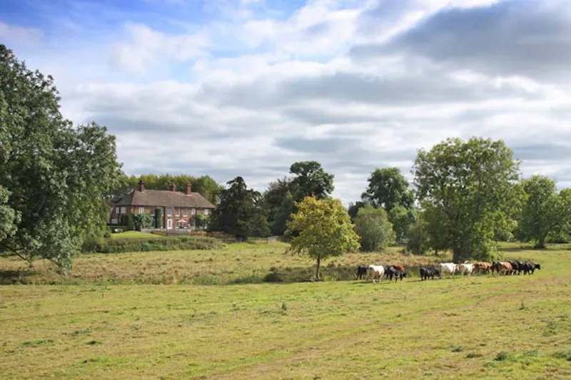 Cranleigh working farm, L612 (photo 46)