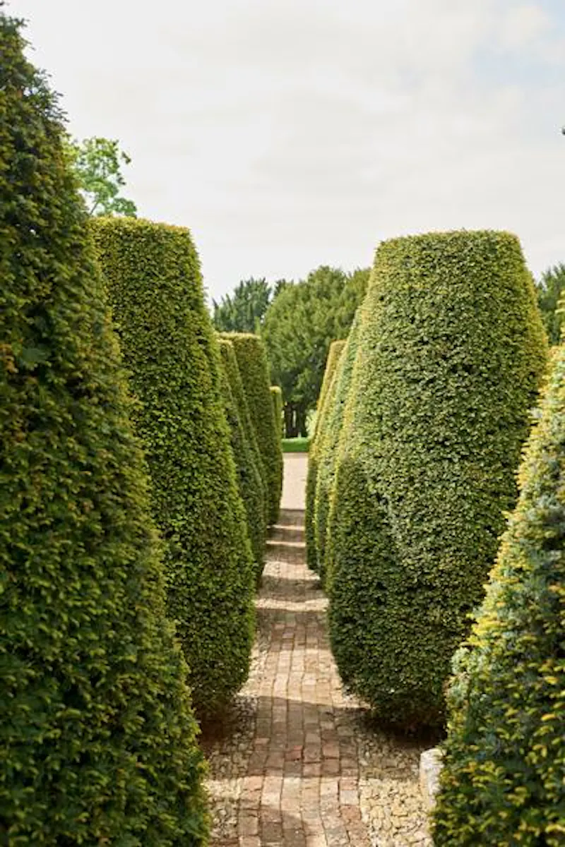 Garden - formal at Classic Georgian country house, A1209 (photo 32)