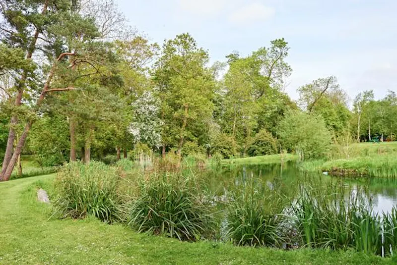 Classic Georgian country house, A1209 (photo 39)