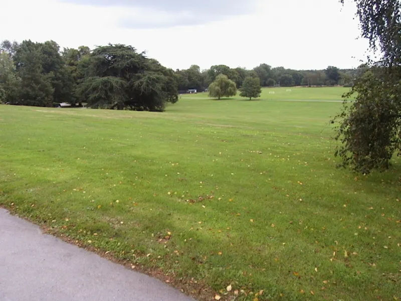 Countryside at Film location J54 in Surrey (photo 24)