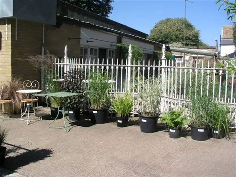 Parsons Green furniture showroom, N178 (photo 21)
