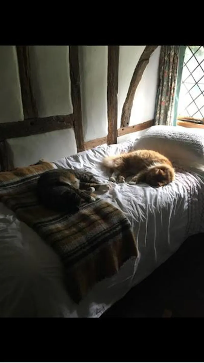 Quirky medieval country home, M270 (photo 33)