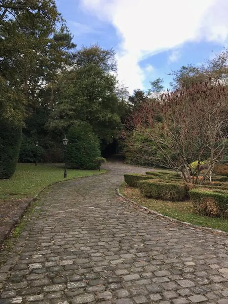 Driveway at Quirky medieval country home, M270 (photo 48)