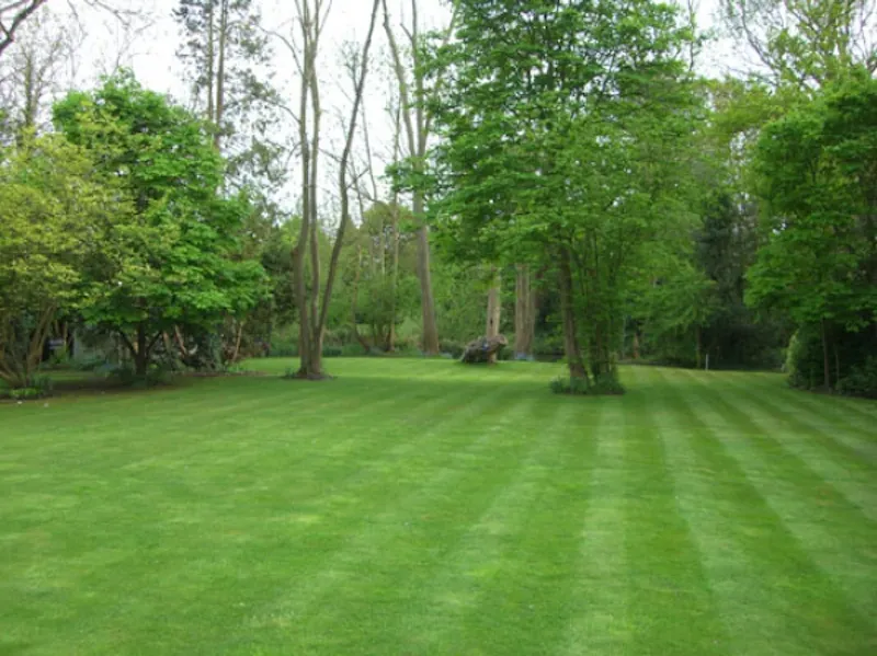 Garden at Film location D1280 in Middlesex (photo 46)