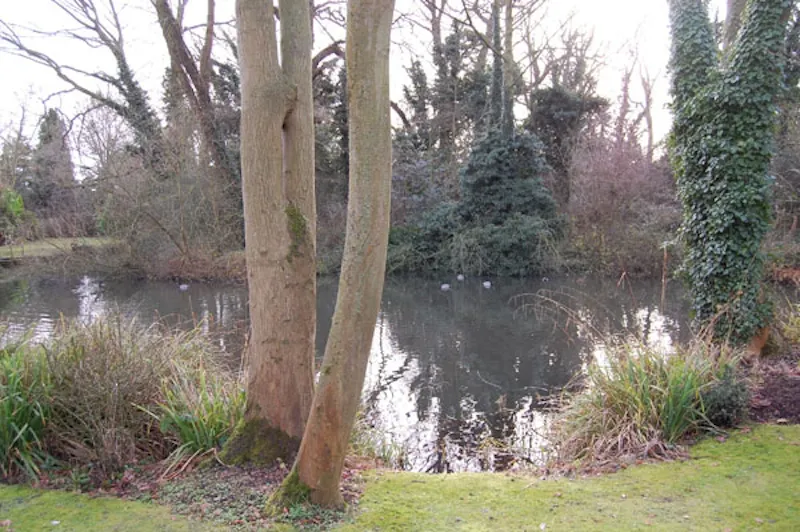 Lake at Film location D1280 in Middlesex (photo 49)