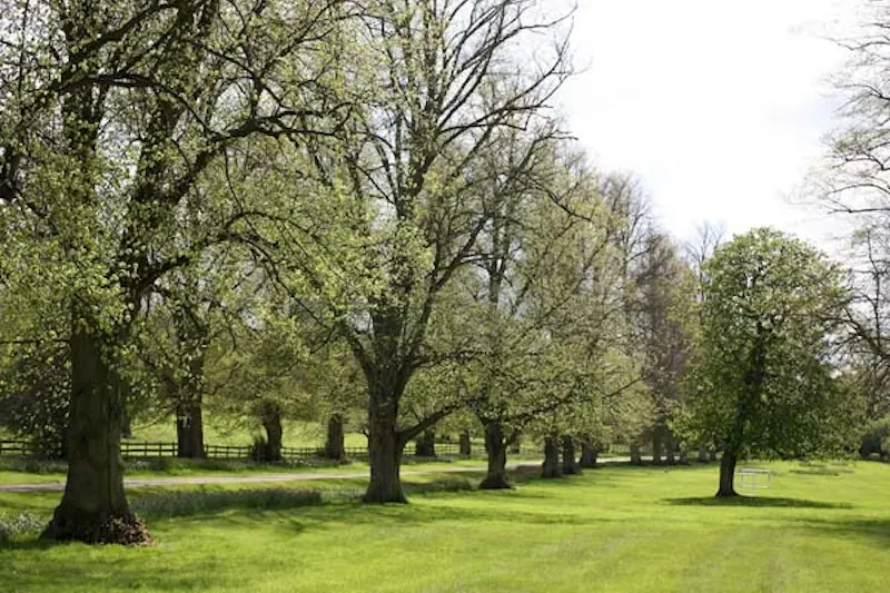 22-acre Berkshire mansion, A1170 (photo 46)