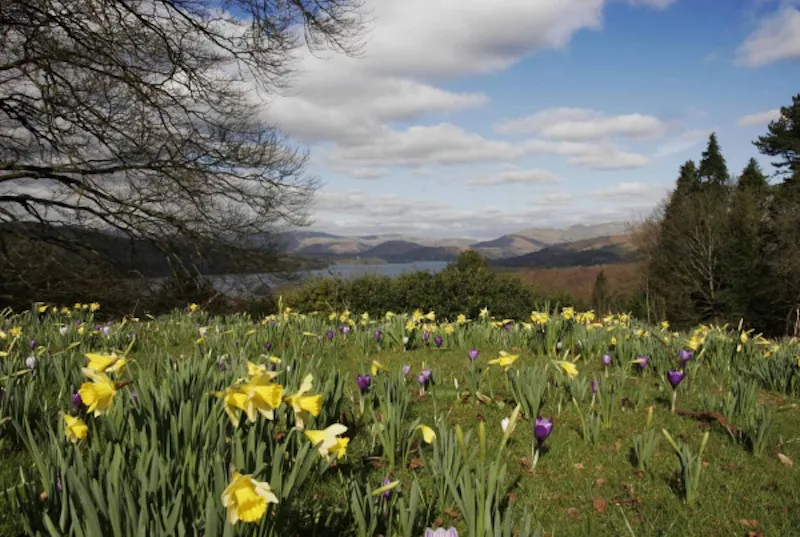 Countryside at Arts and Crafts Windermere view, E327 (photo 17)