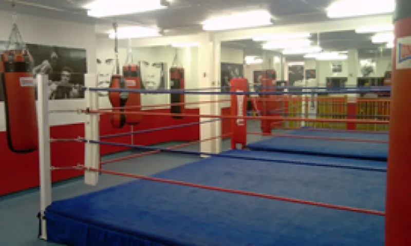 Traditional Shadwell boxing gym, P578 (photo 3)