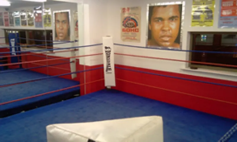 Traditional Shadwell boxing gym, P578 (photo 5)