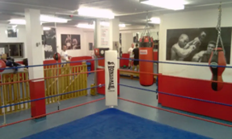 Gym at Traditional Shadwell boxing gym, P578 (photo 6)