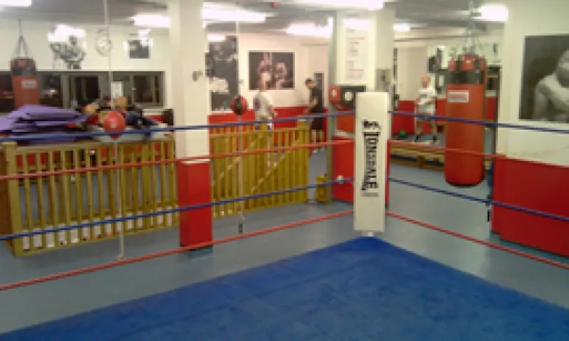 Traditional Shadwell boxing gym, P578 (photo 7)