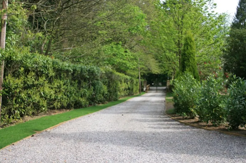 Driveway at East Hampshire orchard house, K319 (photo 29)