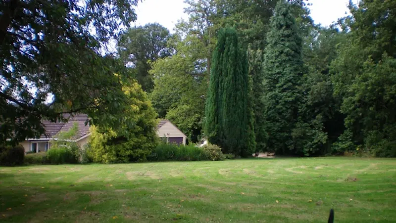 Garden at East Grinstead bungalow, C789 (photo 36)