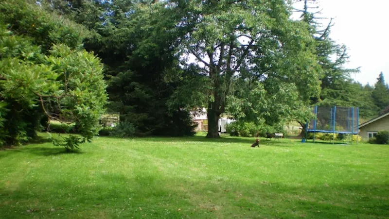 East Grinstead bungalow, C789 (photo 37)