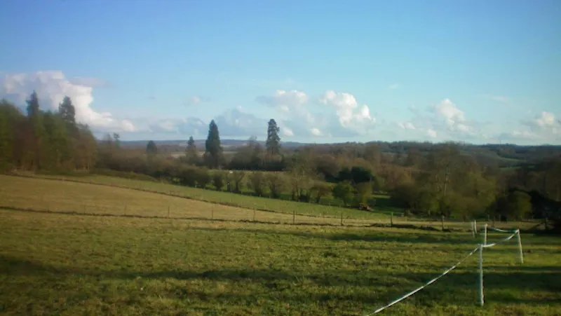 Countryside at East Grinstead bungalow, C789 (photo 39)
