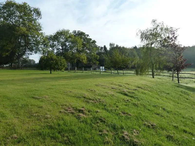 East Grinstead bungalow, C789 (photo 42)